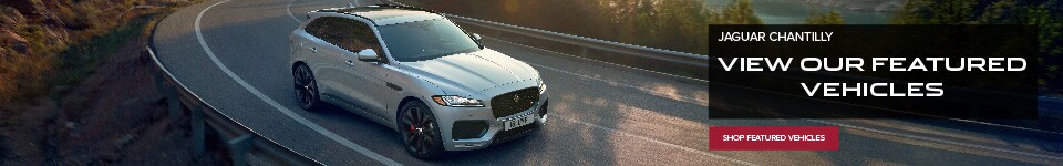 View Our Featured Vehicles 2.jpg