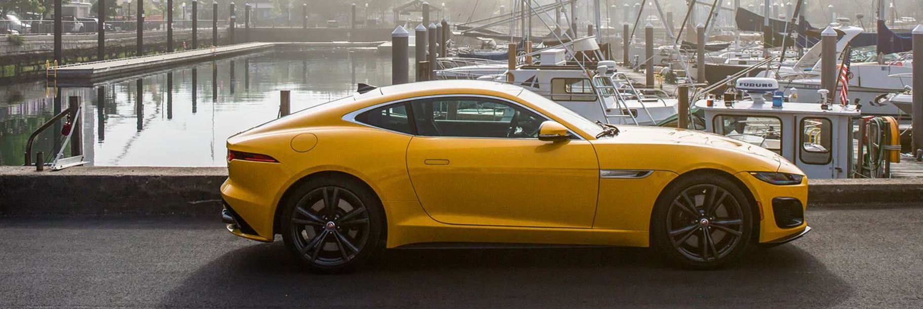 Yellow 1.JPG