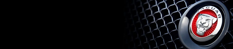 elitecare_pagebanner.jpg
