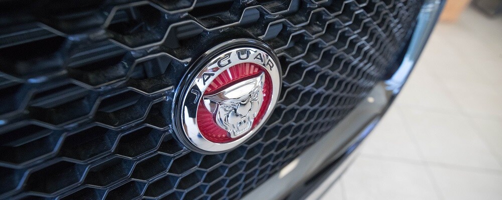 Jaguar Fort Lauderdale Finance Center