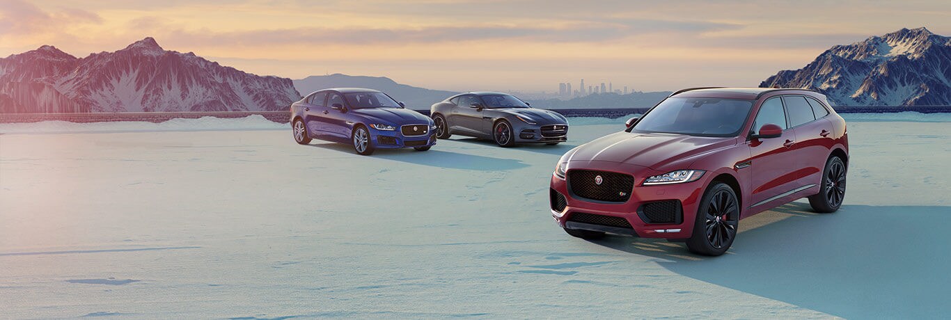 Jaguar banner