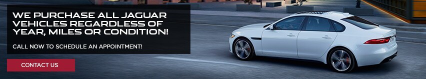 Houston-Central---We-Purchase-All-Jaguar-Vehicles---Pencil-Slide.jpg