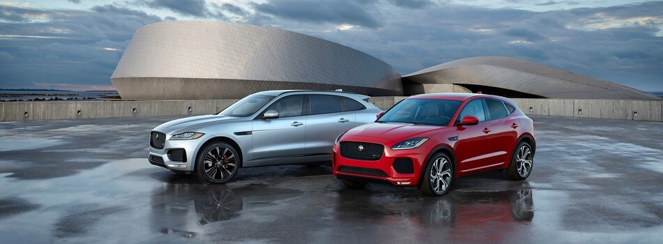 Jaguar Montgomery AL Jaguar Montgomery AL