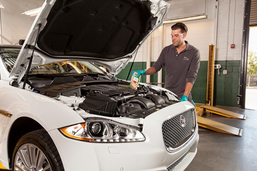 technician performing Jaguar oil change service technician performing an oil change on a Jaguar sedan