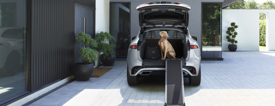 New 2021 Jaguar F-PACE in silver. Parked in driveway with dog sitting in vehicle trunk.