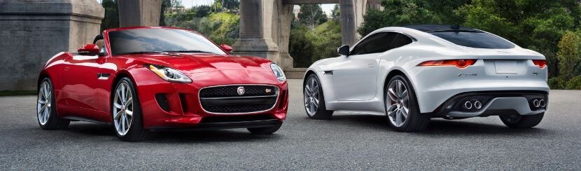 795jag.JPG