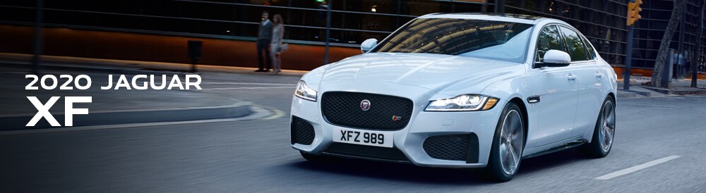 jag_executive_demo_header_xf.jpg