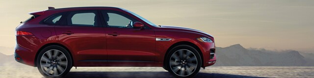 fpace_header.jpg