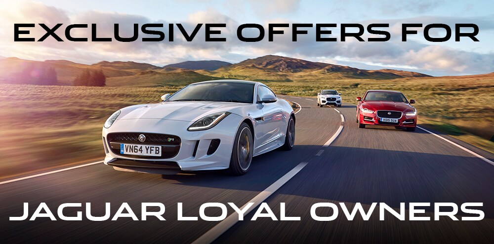 loyal_owners.jpg