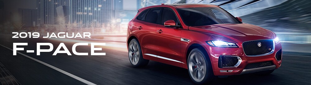 jaguar_headernew_june.jpg