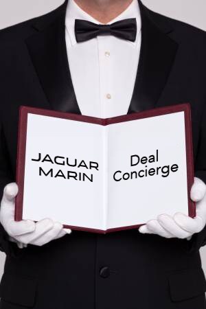17716231-Dealconcierge.jpg