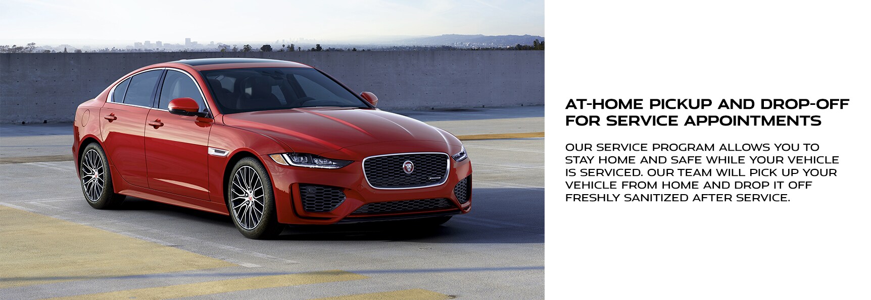 PMJLR_JaguarGraphic_1724x595_04-21.jpg