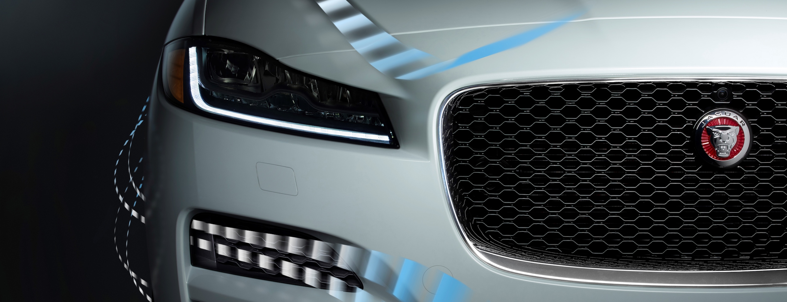 Jaguar Abstract