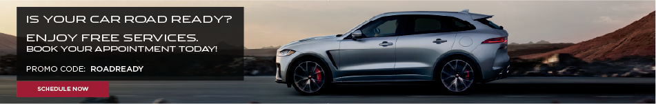 JAGUAR FREE SERVICES - VLP BANNER.png