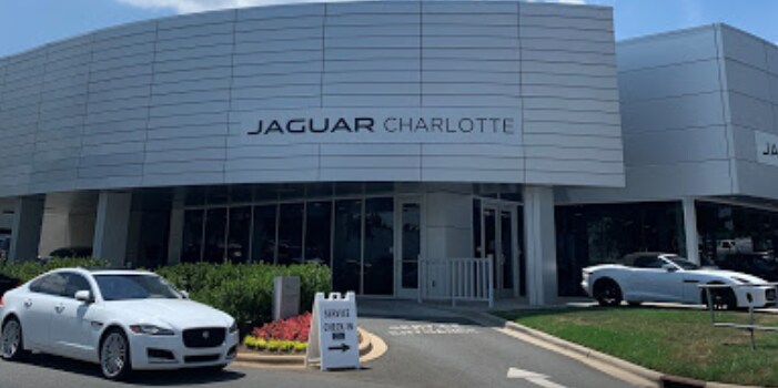 Jaguar Charlotte.png