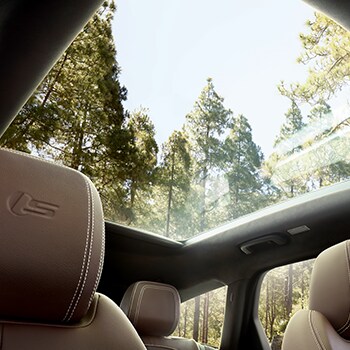 2019-XF-Sportbrake-interior.png