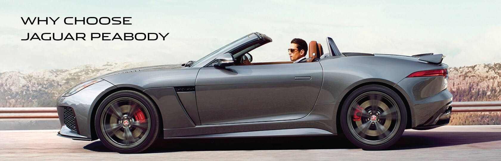 WHY-BUY-JAG2.jpg