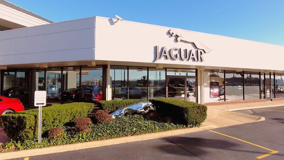 Jaguar drone shot2.jpg