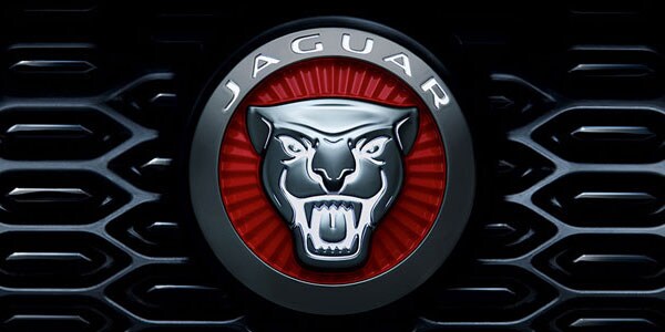 Jaguar Emblem