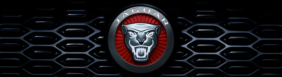 Jaguar Executive Fleet