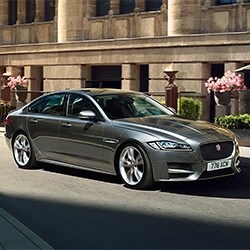 XF