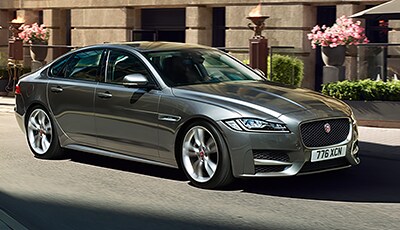 XF