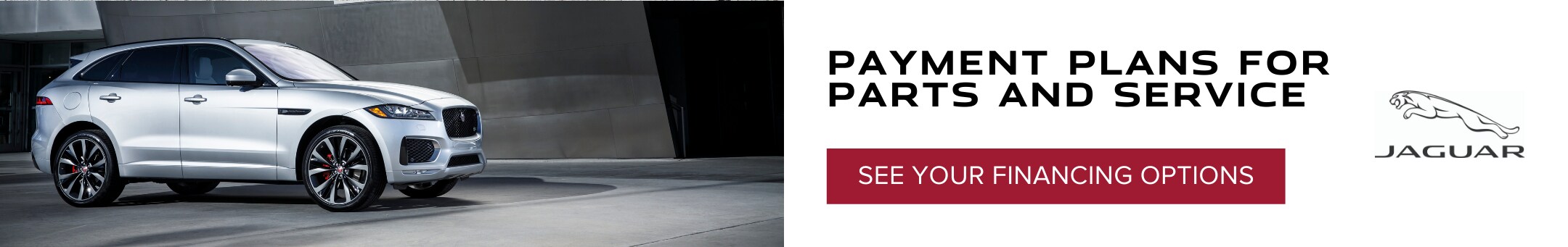 Jaguar banner (2).png