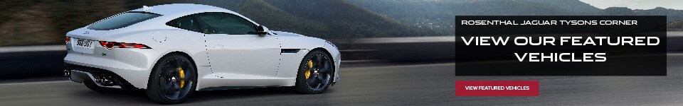 View Our Featured Vehicles 2.jpg