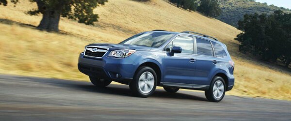 Used Subaru Forester in Cincinnati