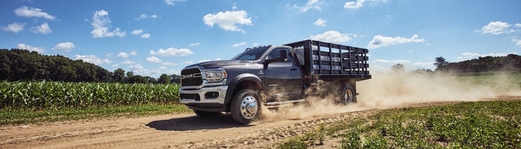 What Are Some Ram Agriculture Benefits?