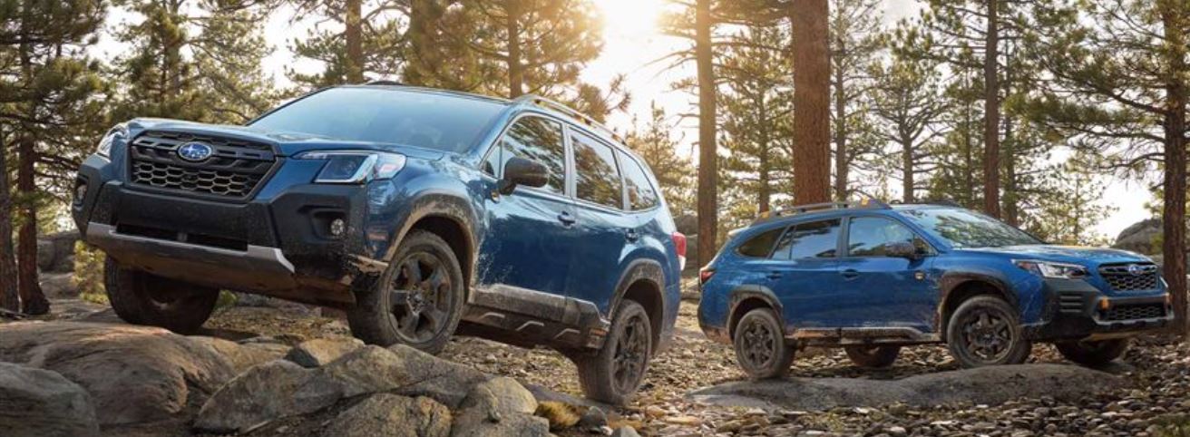 Subaru Wilderness Models Line Up.jpg
