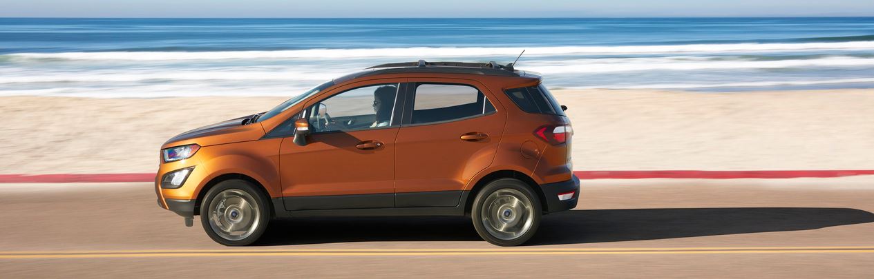 ecosport_banner.jpg