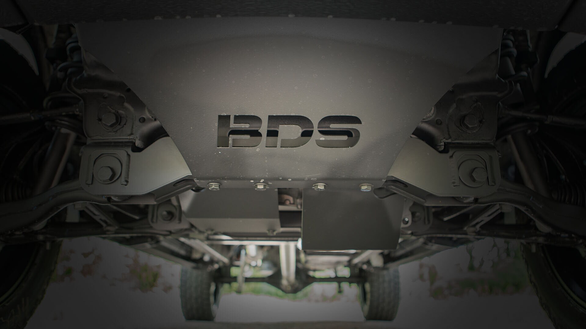 bds1.jpg