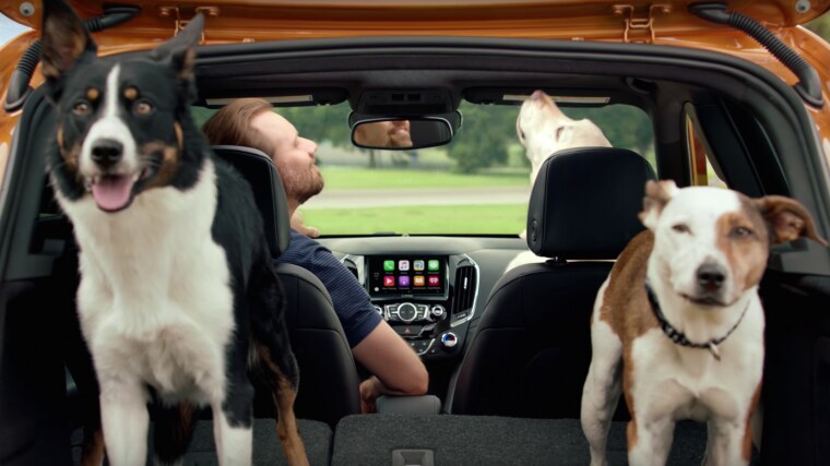 Chevy-Cruz-Dogs