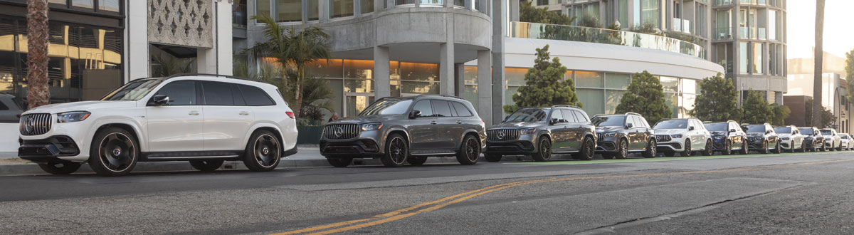 Mercedes-Benz Vehicle Home Delivery