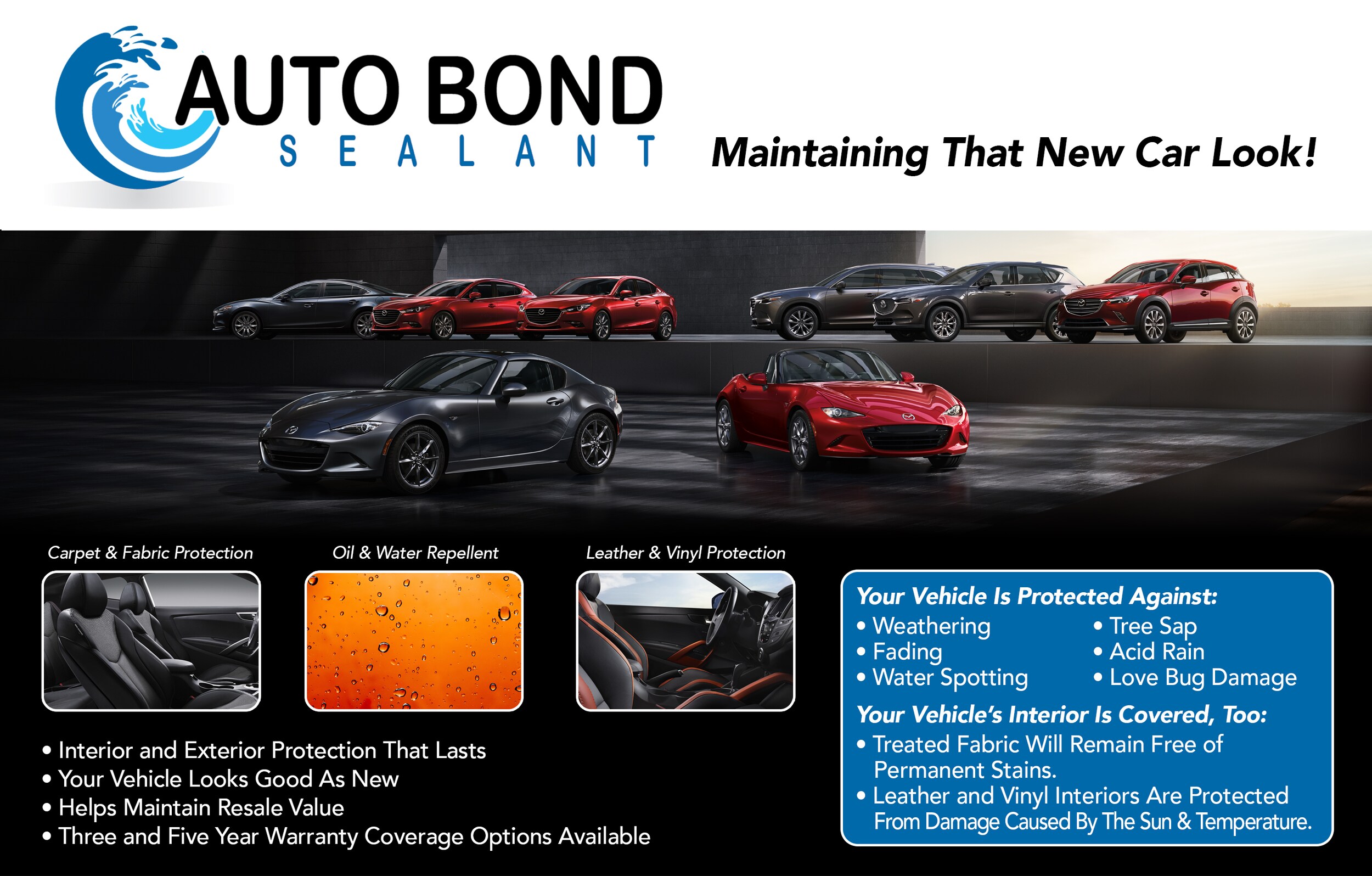 AutoBond Landing Page.jpg