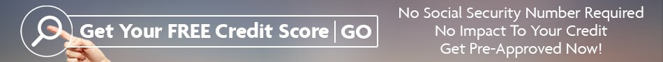 Free Credit Score Banner.jpg