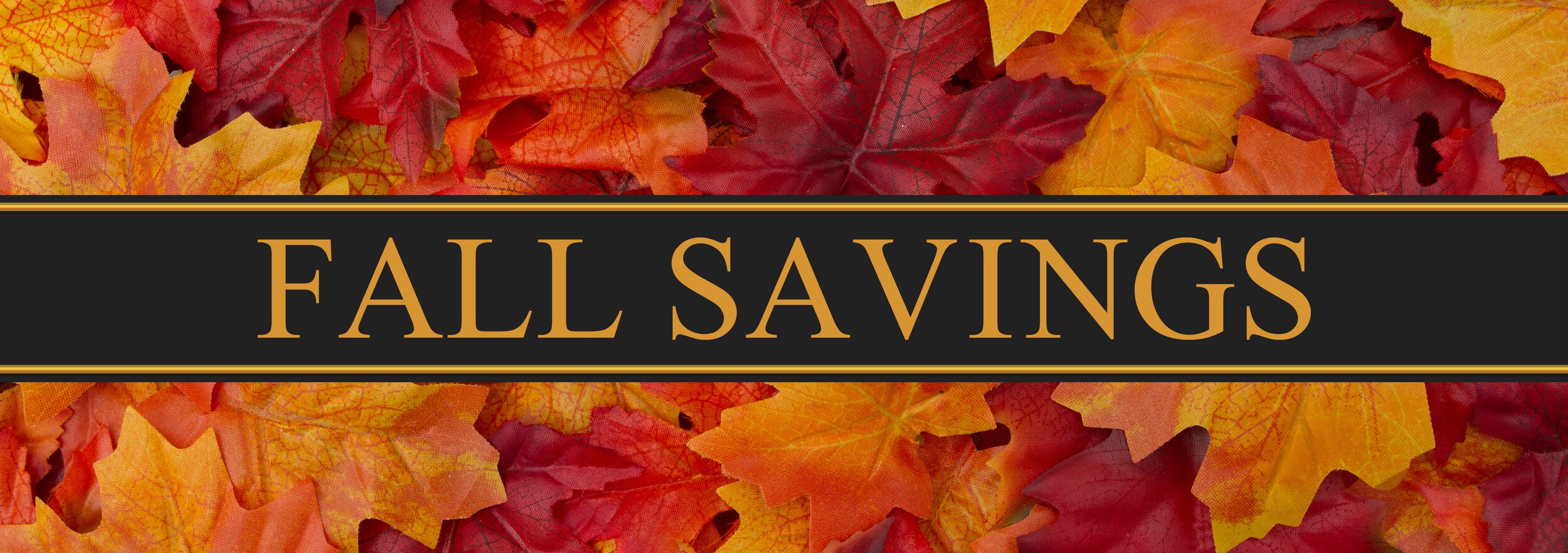 Fall Savings.jpg