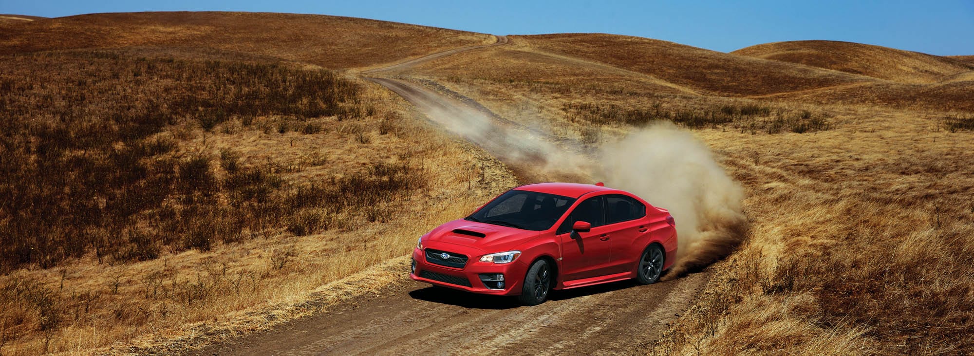 2016 WRX4.jpg