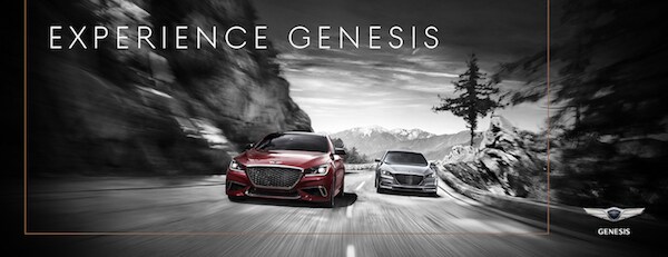 Genesis image 2.jpg