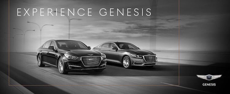 Genesis image 1.JPG