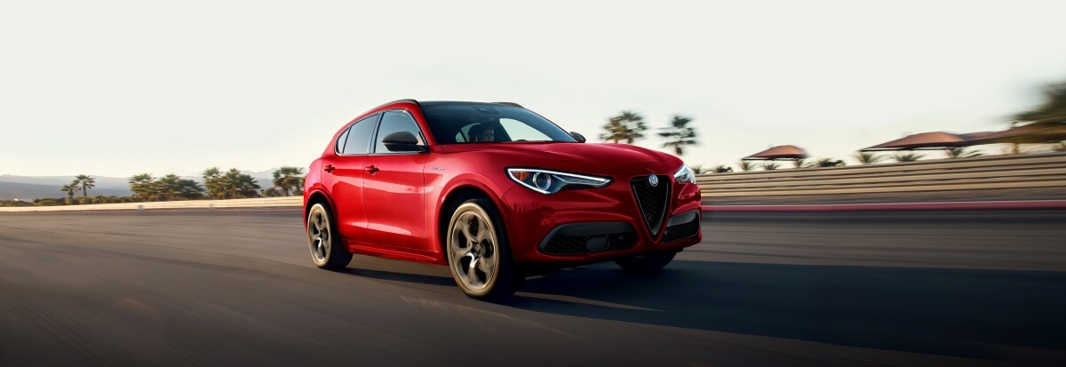 Stelvio for Sale in Atlanta GA