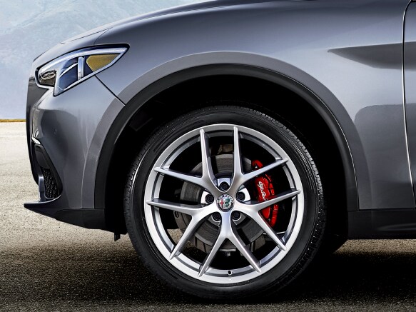 Stelvio Wheel