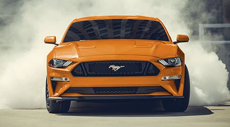 Mustang_1.jpg