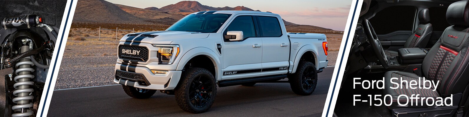 Shelby-F-150-Offroad.jpg
