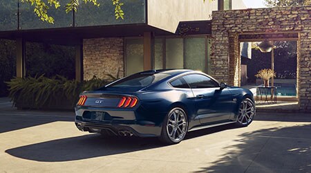 Mustang_2.jpg