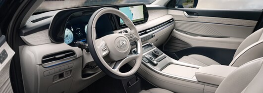 Palisade Interior Image
