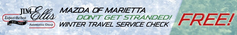 winter-travel-service-check-page.jpg
