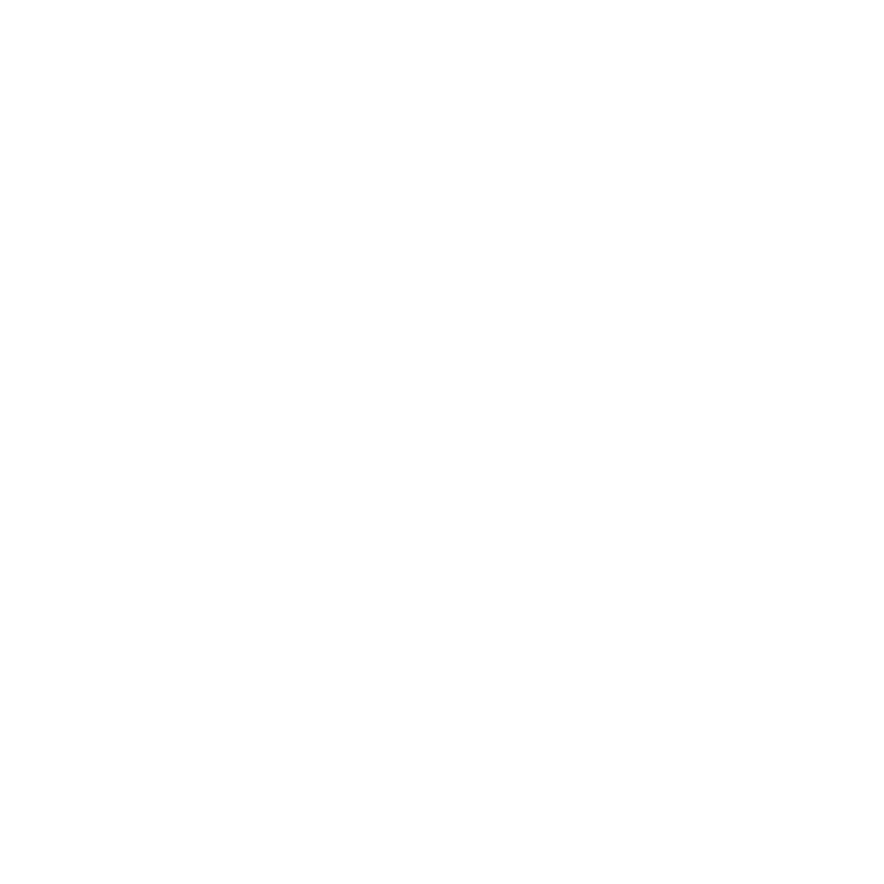 VW_Logo_White_RGB.png