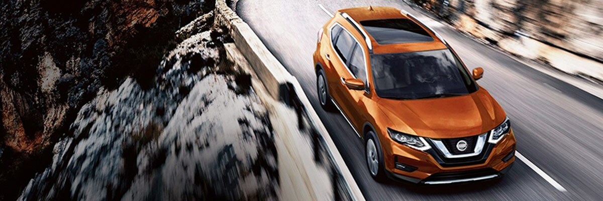 2018 rogue model.jpg